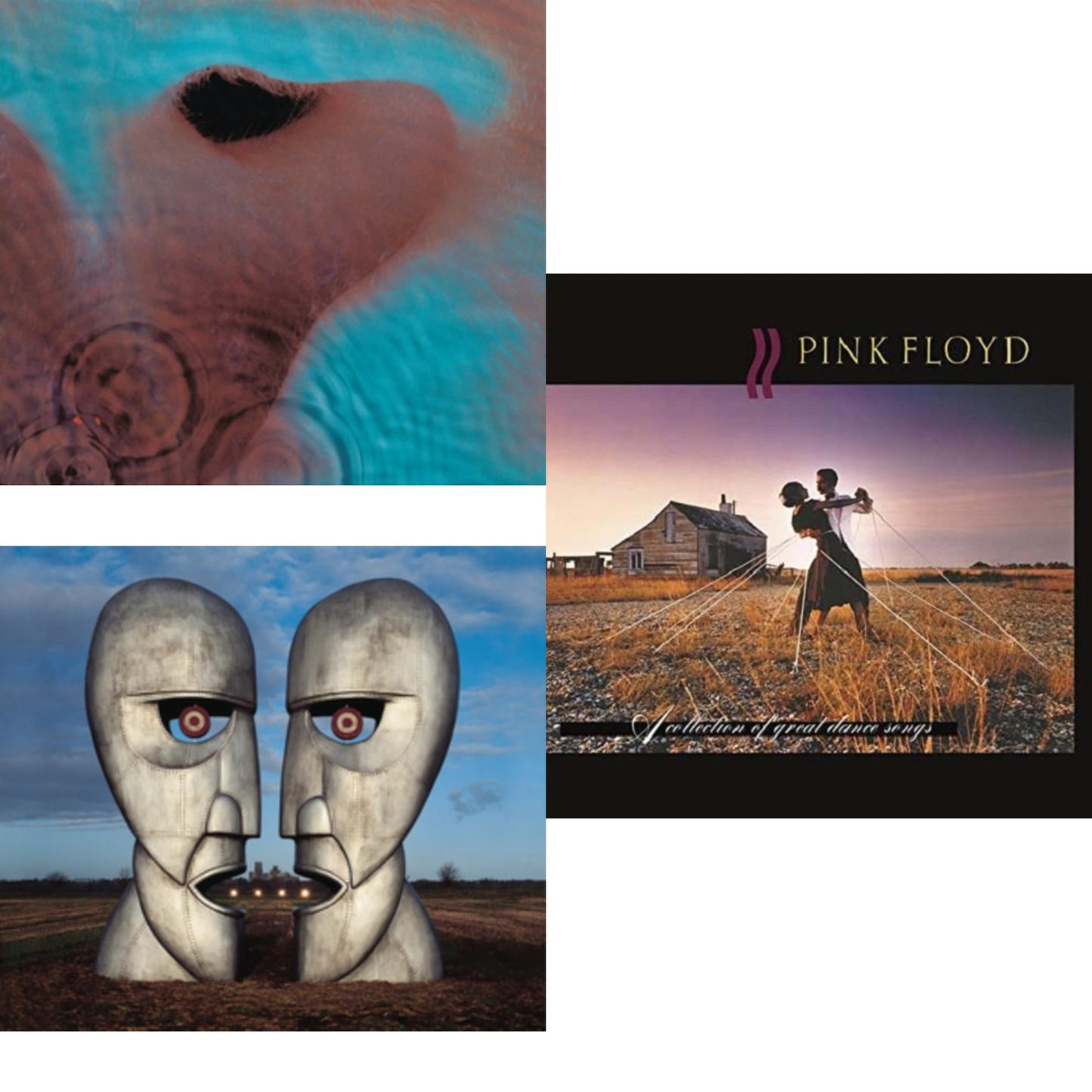 Meddle (180G/Gatefold/2016 Version) & Division Bell (180G/2016 Version/Gatefold) & Collection Of Great Dance Songs (180G)