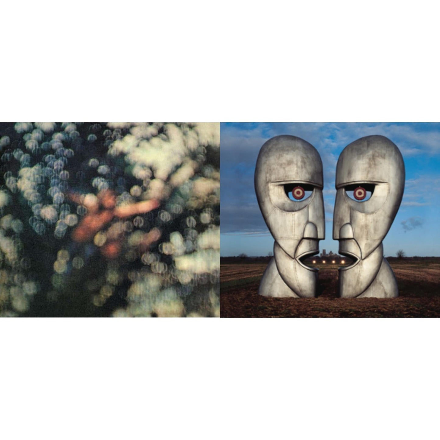 Obscured By Clouds & Division Bell