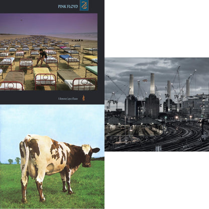 Animals (2018 Remix) (180G/LP/CD/Blu-Ray/DVD) & Atom Heart Mother (180G/Gatefold/2016 Version) & Momentary Lapse Of Reason (180G/Gatefold) (2016 Version)