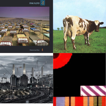 Animals (2018 Remix) (180G/LP/CD/Blu-Ray/DVD) & Atom Heart Mother (180G/Gatefold/2016 Version) & Final Cut (180G/Gatefold) (2016 Version) & Momentary Lapse Of Reason (180G/Gatefold) (2016 Version)