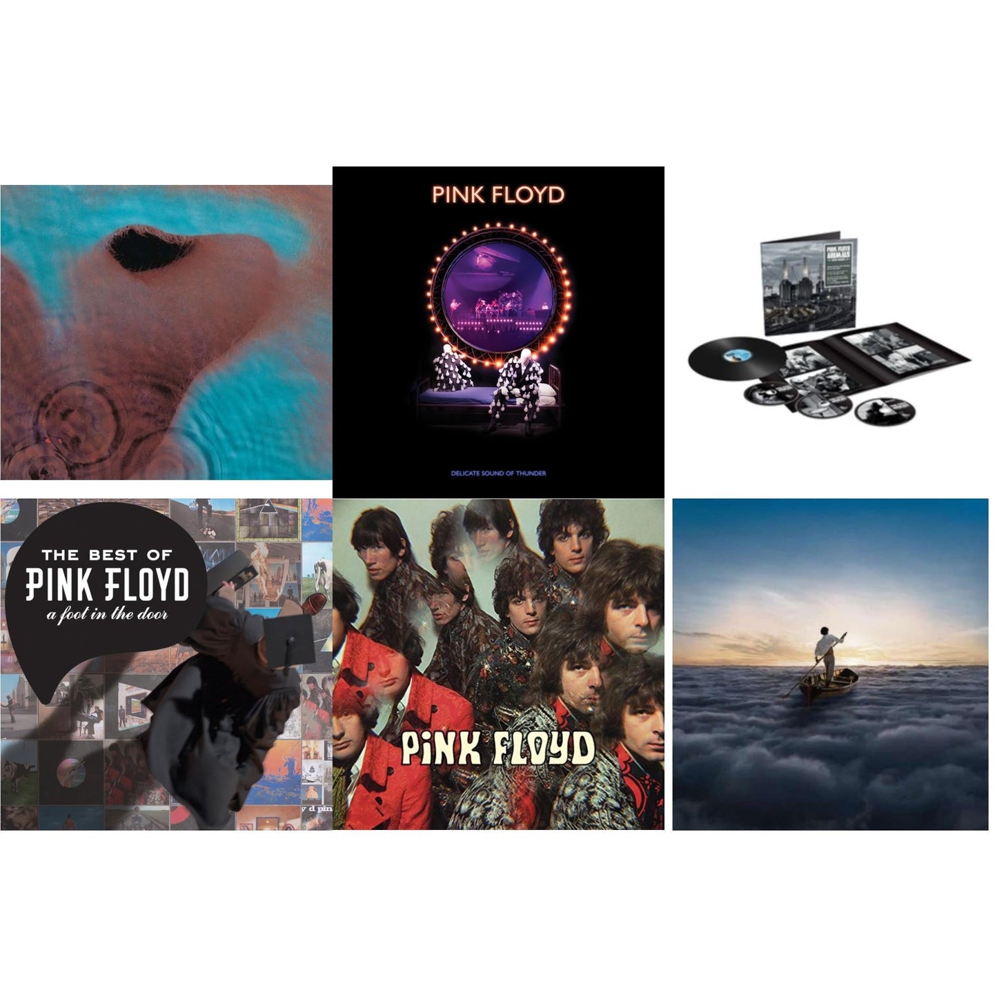 Animals (2018 Remix) (LP/CD/DVD/Blu-Ray/180G) & Delicate Sound Of Thunder (3LP) & Endless River (2LP/180G) & Piper At The Gates Of Dawn (180G/2016 Version) & Meddle (180G/Gatefold/2016 Version) & Best Of Pink Floyd: A Foot In Door (2LP/180G Vinyl)