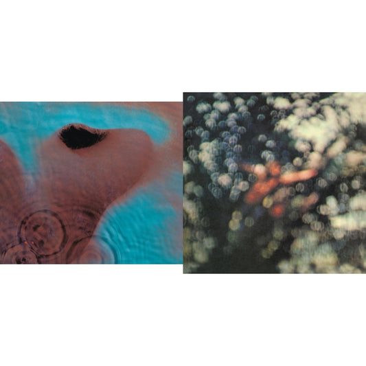 Meddle (180G/Gatefold/2016 Version) & Obscured By Clouds (180G/2016 Version)