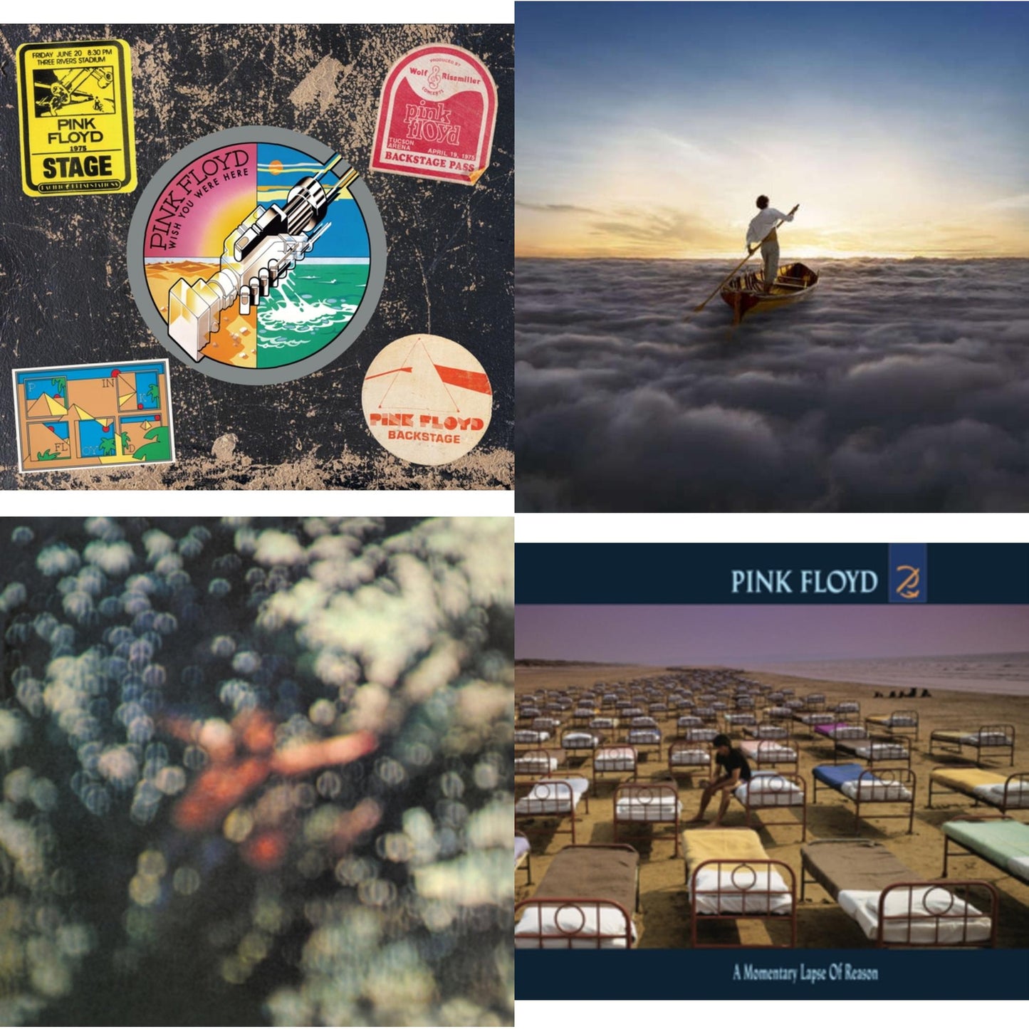 Wish You Were Here (50Th Anniversary/2CD) & Endless River & Obscured By Clouds & Momentary Lapse Of Reason