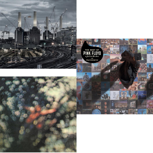 Animals (2018 Remix) (180G) & Obscured By Clouds (180G/2016 Version) & Best Of Pink Floyd: A Foot In Door (2LP/180G Vinyl)