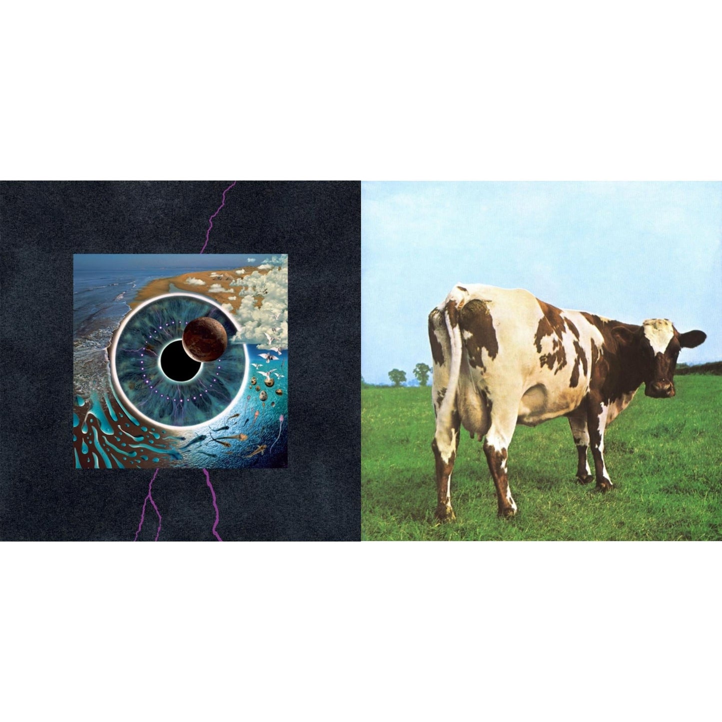 Pink Floyd - Atom Heart Mother (180G/Gatefold/2016 Version) & Pulse (180G/4LP/52 Pp Book)