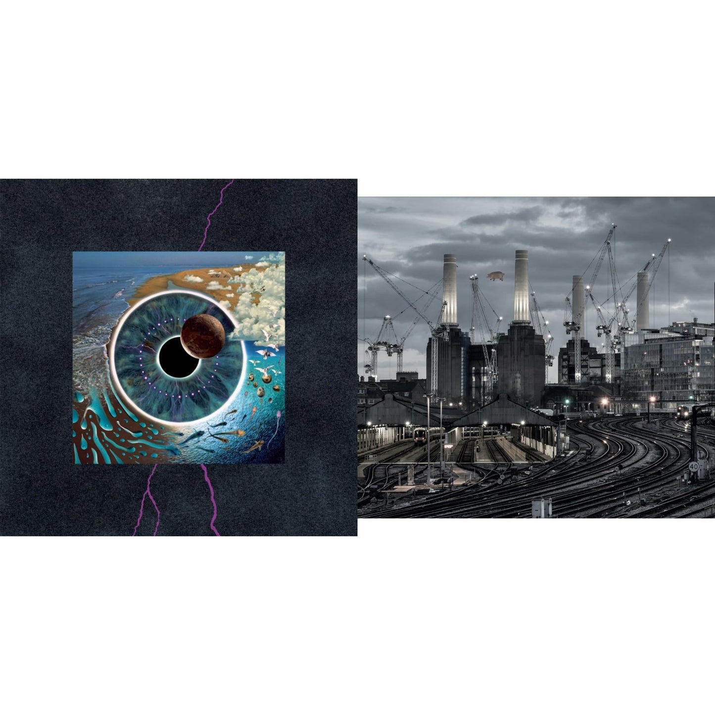 Animals (2018 Remix) (180G/LP/CD/Blu-Ray/DVD) & Pulse (180G/4LP/52 Pp Book)