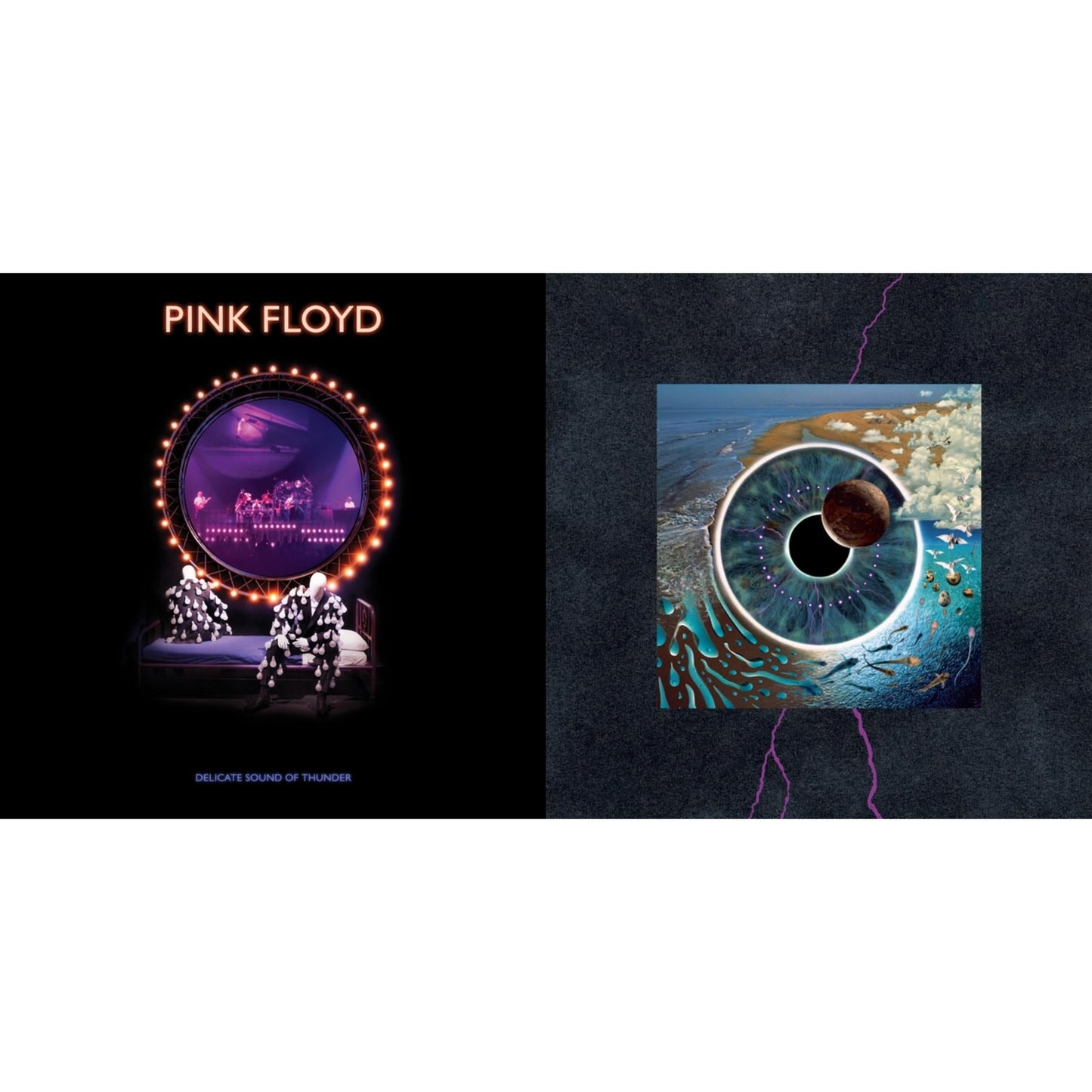 Delicate Sound Of Thunder (3LP) & Pulse (180G/4LP/52 Pp Book)
