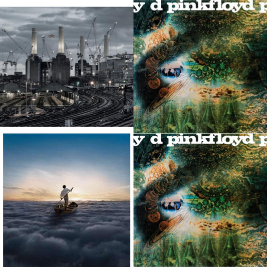 Animals (2018 Remix) (180G) & Saucerful Of Secrets (Mono/180G) & Endless River (2LP/180G) & Saucerful Of Secrets (180G)
