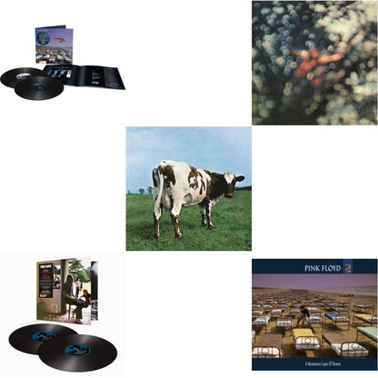 Momentary Lapse Of Reason (Remixed & Updated) (2LP) & Ummagumma (2LP/180G/2016 Version/Gatefold) & Atom Heart Mother (180G/Gatefold/2016 Version) & Obscured By Clouds (180G/2016 Version) & Momentary Lapse Of Reason (180G/Gatefold) (2016 Version)