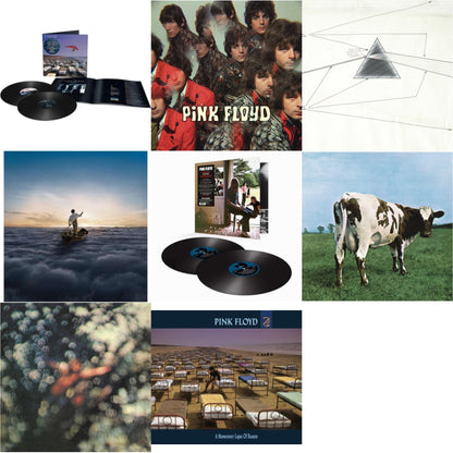 Pink Floyd - Momentary Lapse Of Reason (Remixed & Updated) (2LP) & Piper At The Gates Of Dawn (Mono Version) & Dark Side Of The Moon Live At Wembley Empire Pool 1974 & Endless River (2LP/180G) & Ummagumma (2LP/180G/2016 Version/Gatefold) & Atom Heart