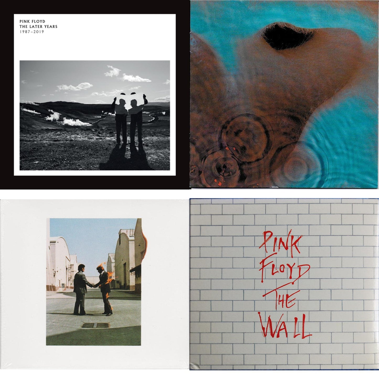 Later Years (1987 - 2019) & Meddle & Wish You Were Here & Wall