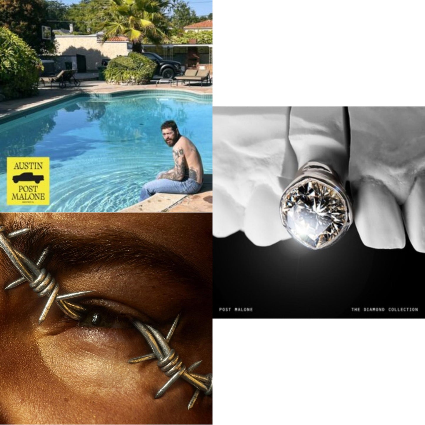 Austin (Forest Green/2LP) (X) & Diamond Collection (Metallic Silver Vinyl/2LP) & Beerbongs & Bentleys (2LP/Clear Vinyl)