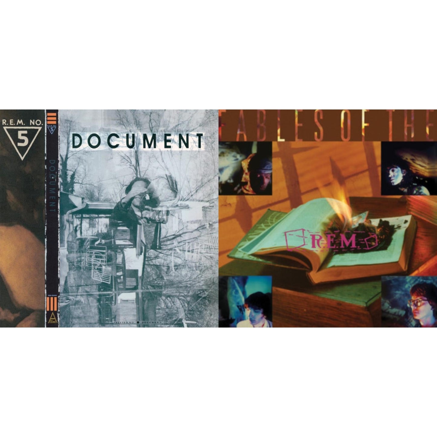 Document & Fables Of The Reconstruction