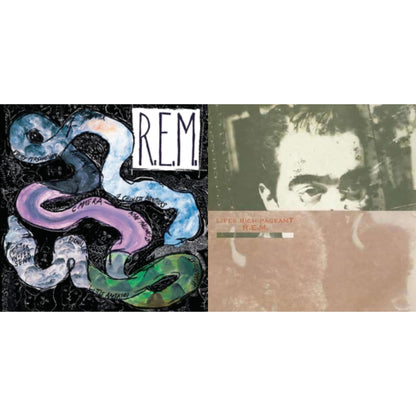 Reckoning & Lifes Rich Pageant