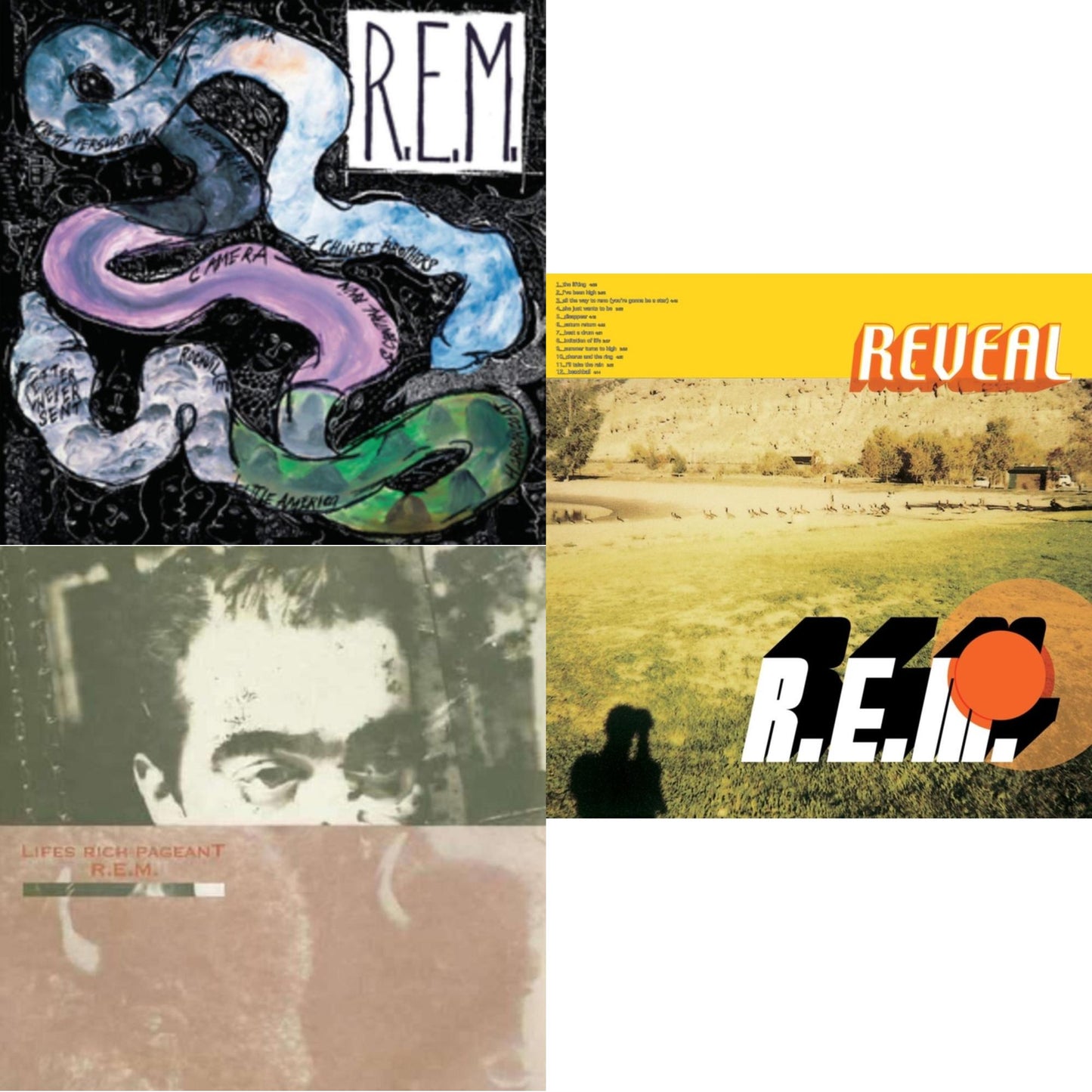 Reckoning & Lifes Rich Pageant & Reveal