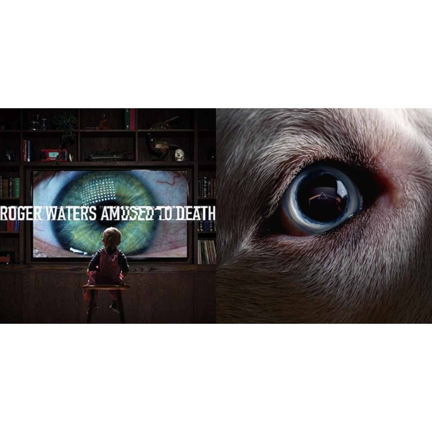 Dark Side Of The Moon Redux & Amused To Death