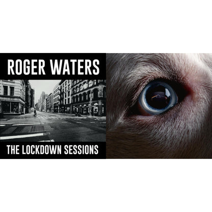 Lockdown Sessions & Dark Side Of The Moon Redux (140G/2LP)