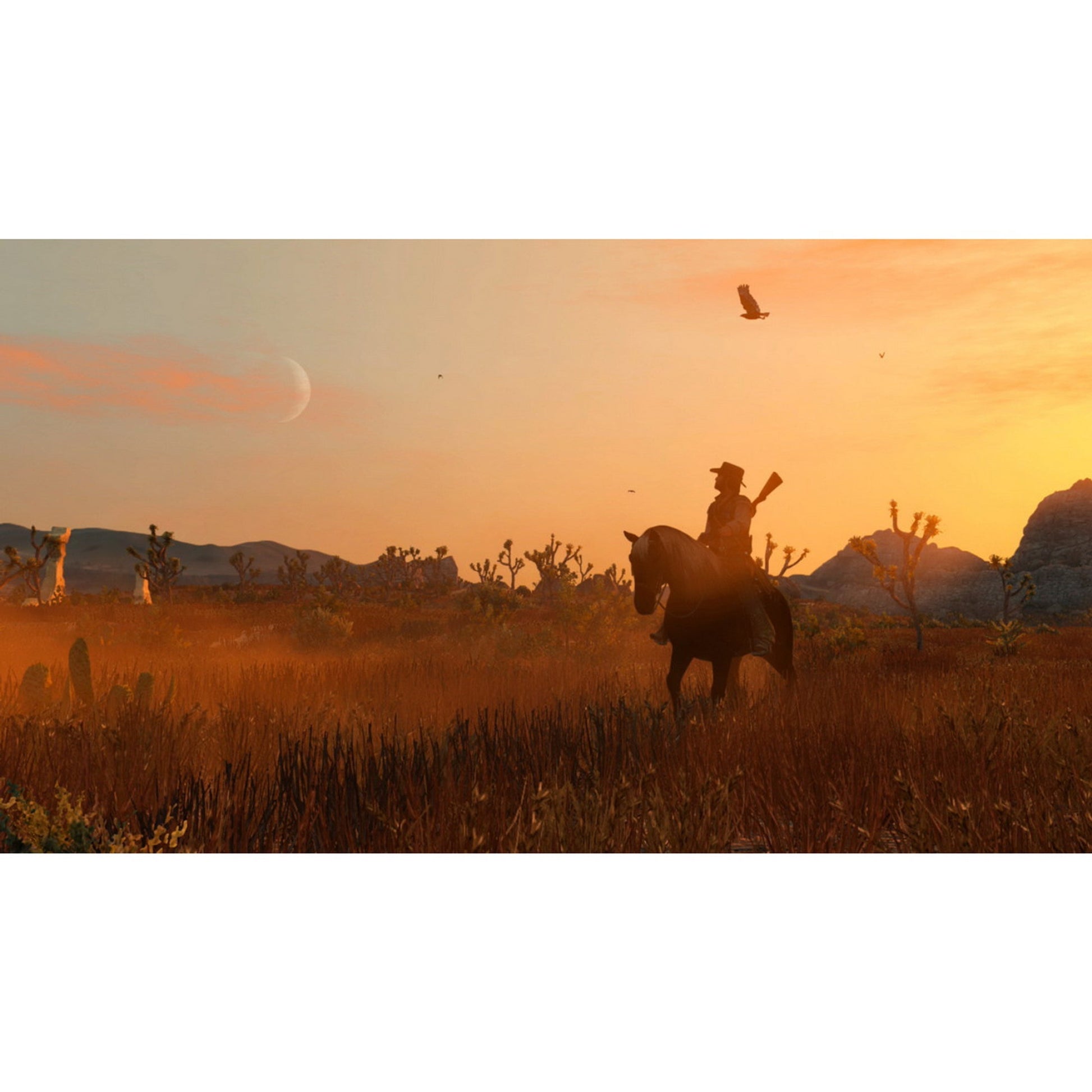 Red Dead Redemption - Switch