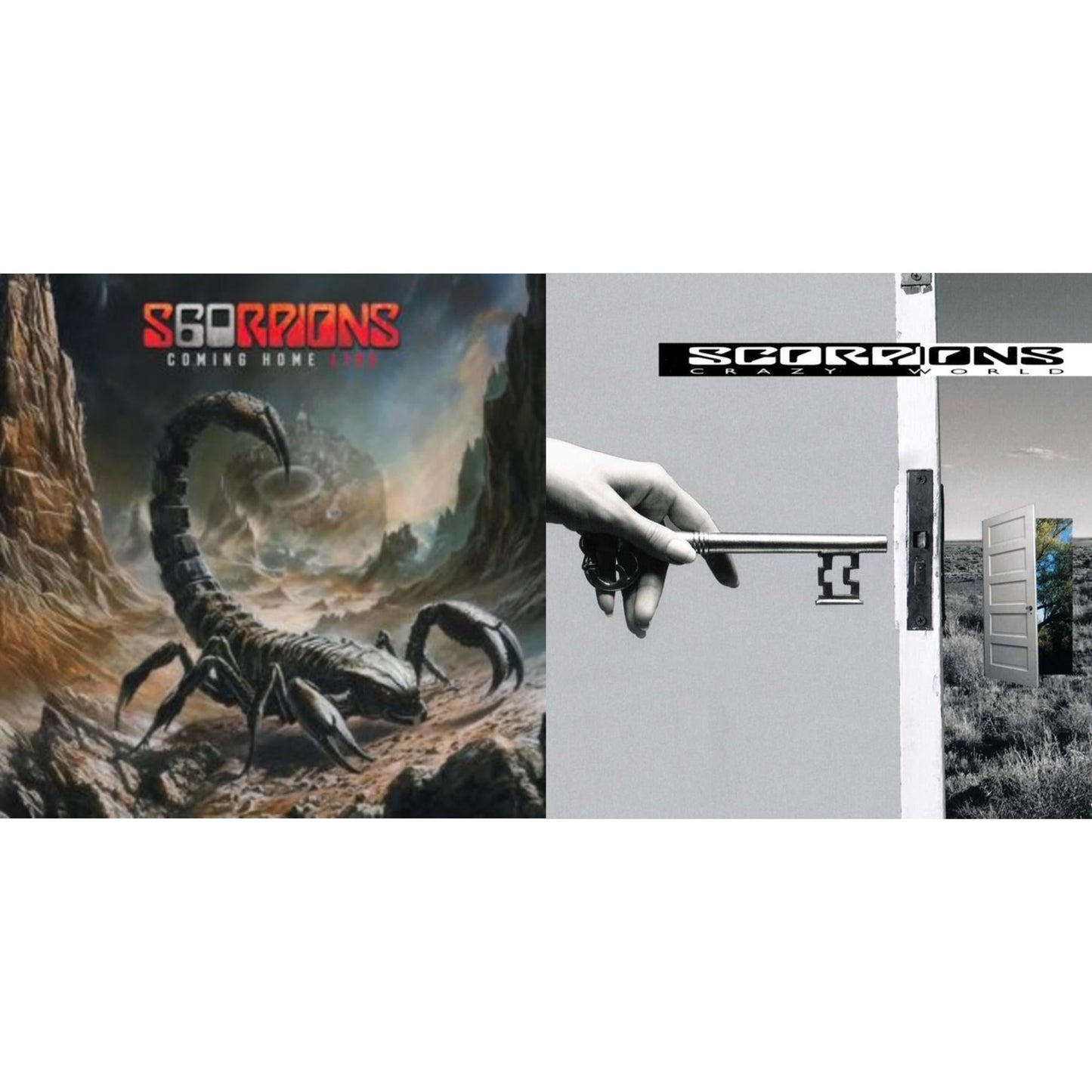 Coming Home Live (180G/2LP) & Crazy World
