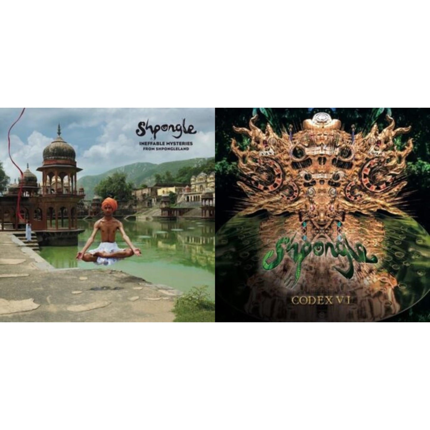 This is a 2 LP Vinyl SKU bundle.
1.This LP Vinyl is brand new.Format: LP VinylMusic Style: DowntempoThis item's title is: Ineffable Mysteries From Shpongleland (3LP)Artist: ShpongleLabel: TWISTED RECORDSBarcode: 630883006822Release Date: 10/7/2022
2.This LP Vinyl is brand new.