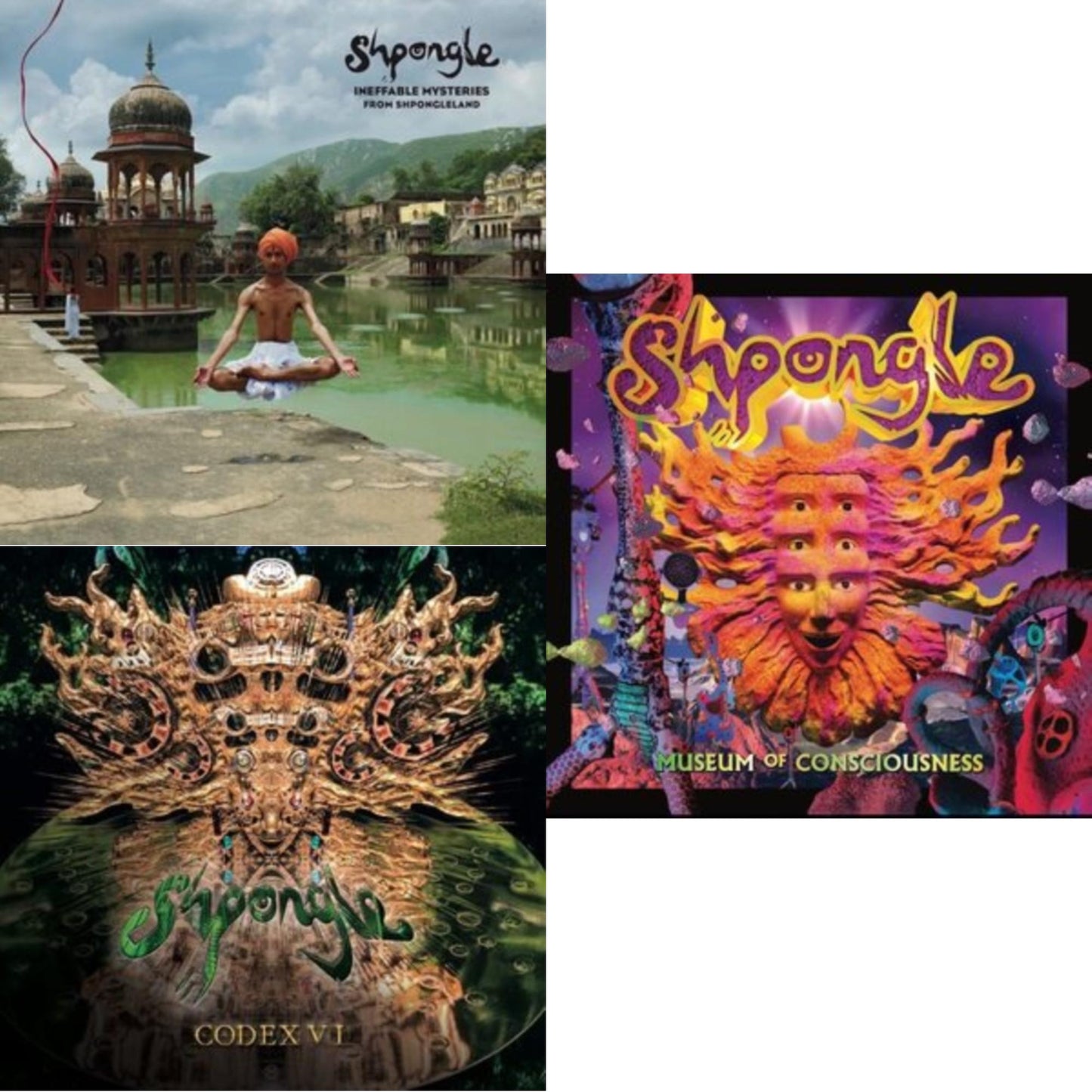 This is a 3 LP Vinyl SKU bundle.
1.This LP Vinyl is brand new.Format: LP VinylMusic Style: DowntempoThis item's title is: Ineffable Mysteries From Shpongleland (3LP)Artist: ShpongleLabel: TWISTED RECORDSBarcode: 630883006822Release Date: 10/7/2022
2.This LP Vinyl is brand new.