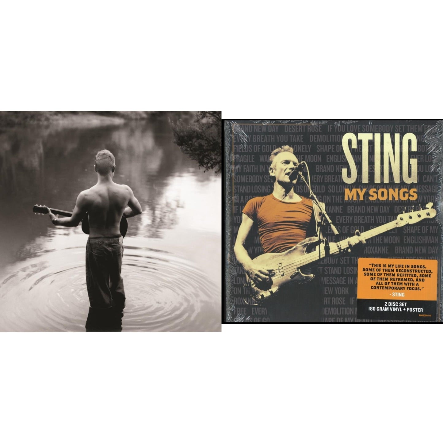 Best Of 25 Years & My Songs (2 LP)