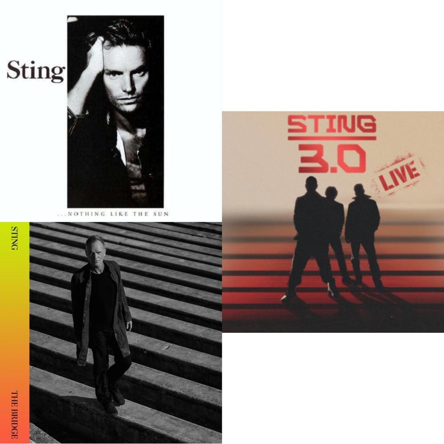 Nothing Like The Sun & Bridge & Sting 3.0 Live (180G)