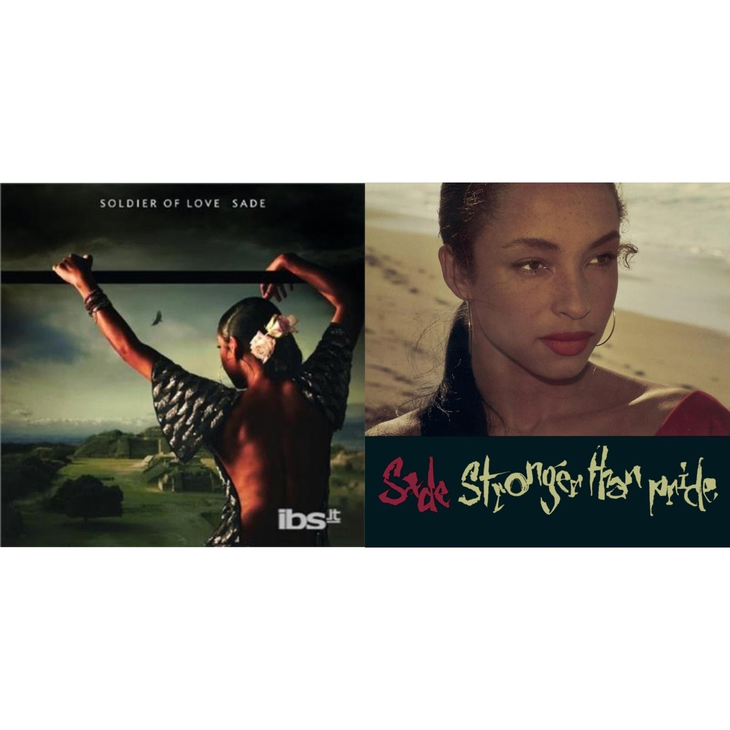 Soldier Of Love & Stronger Than Pride