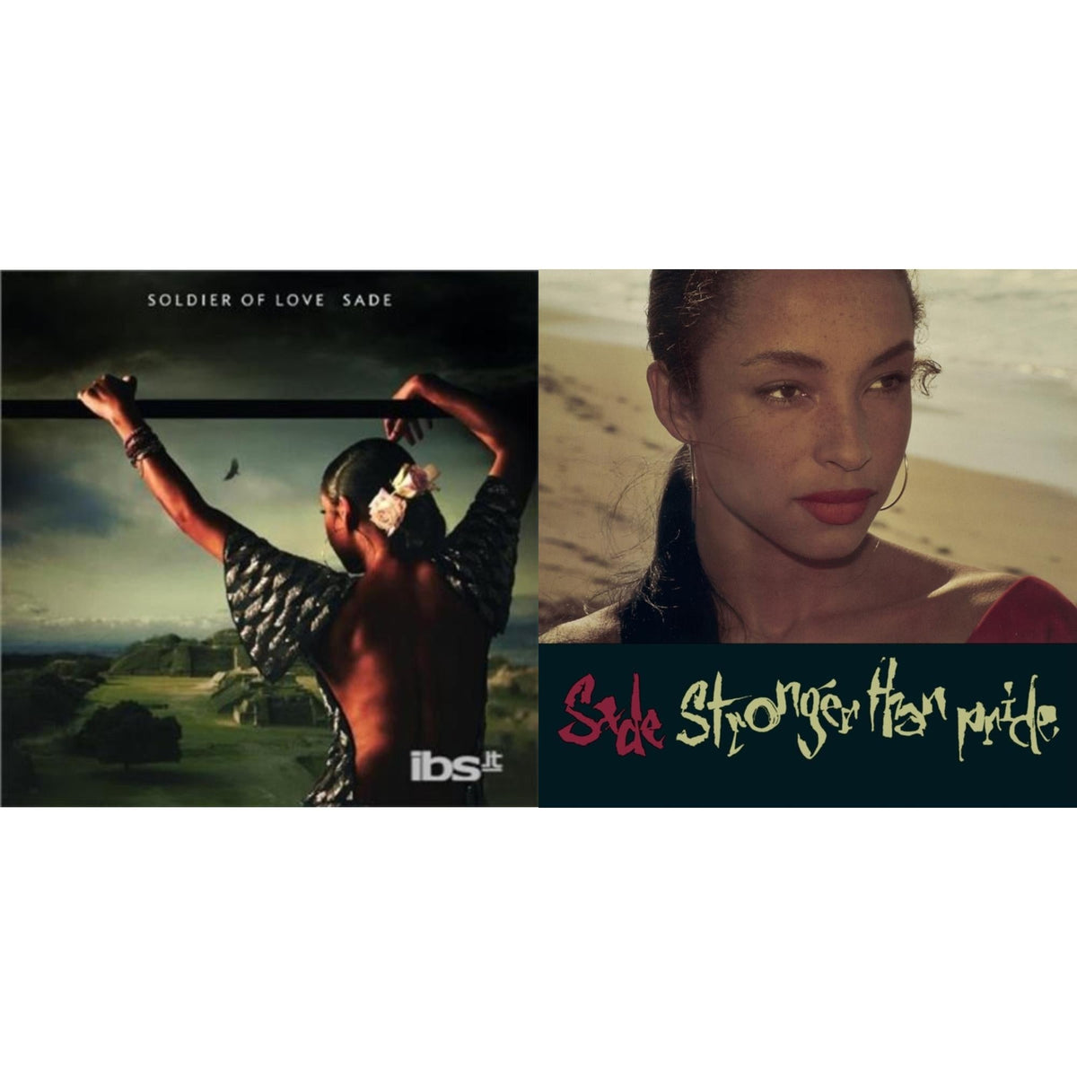 Soldier Of Love & Stronger Than Pride