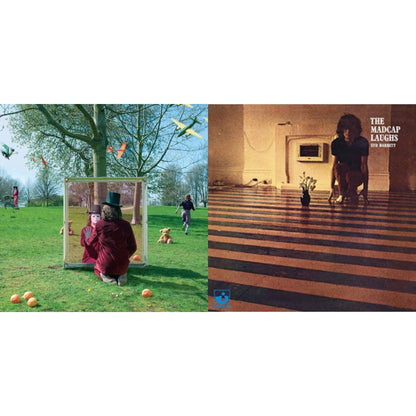 An Introduction To Syd Barrett (2LP) & Madcap Laughs