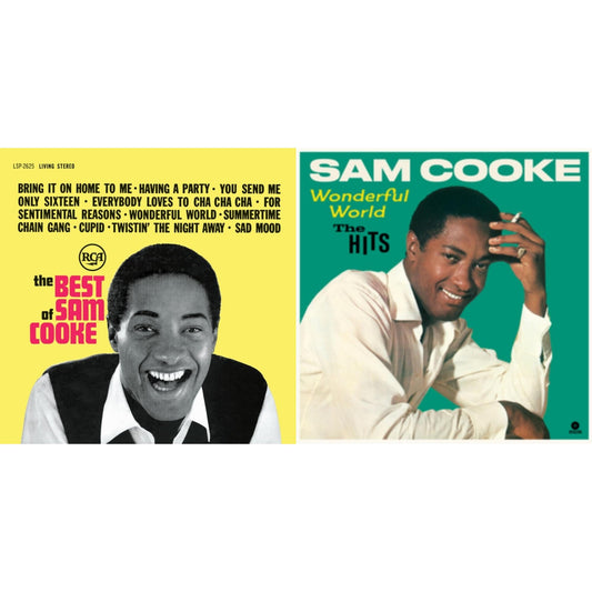 Best Of (140G/ Dl Insert) & Wonderfull World - The Hits