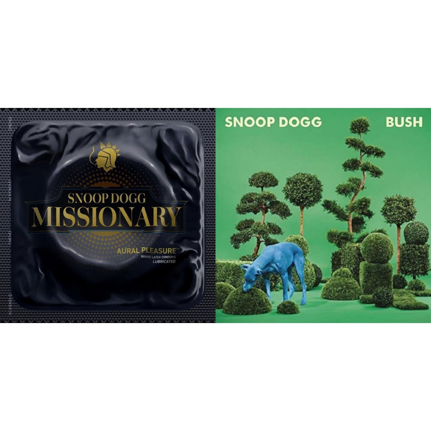 Missionary (X) (Picture Disc) & Bush (150G/Dl Card/Blue LP Vinyl)