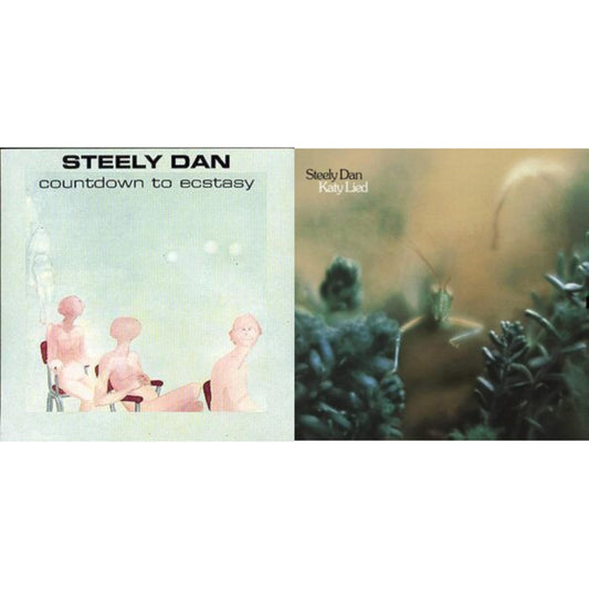 Countdown To Ecstasy & Katy Lied