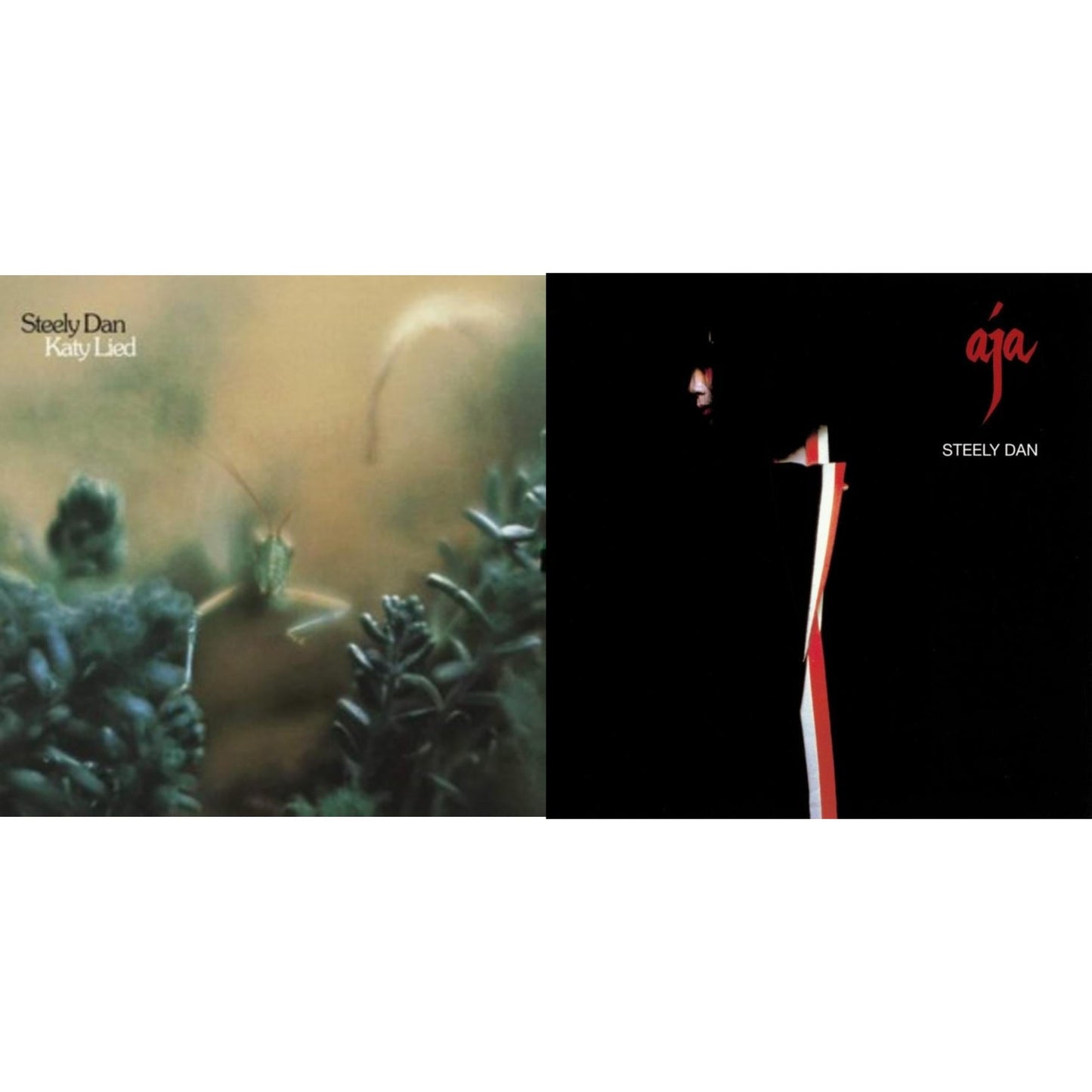Katy Lied & Aja