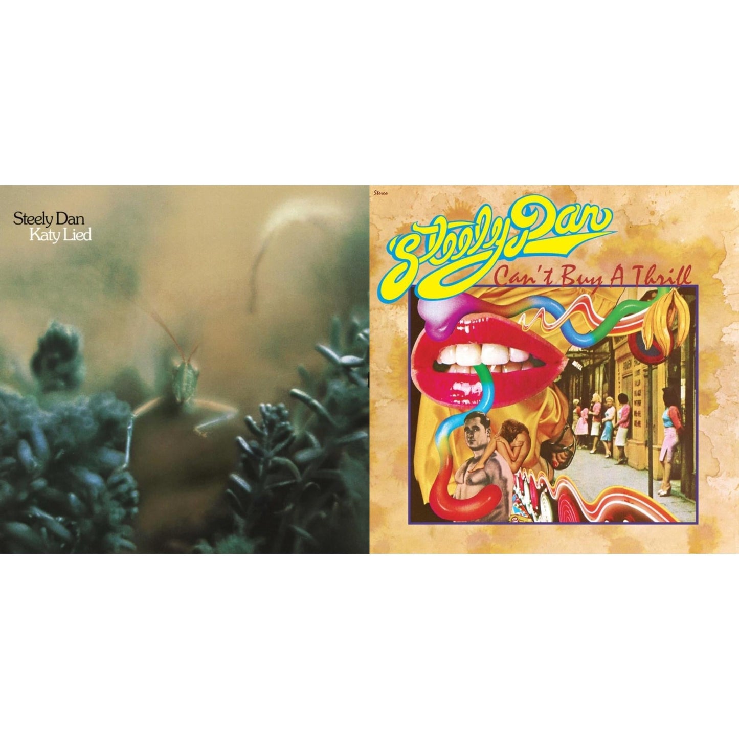 Katy Lied  & Can't Buy A Thrill (180G)