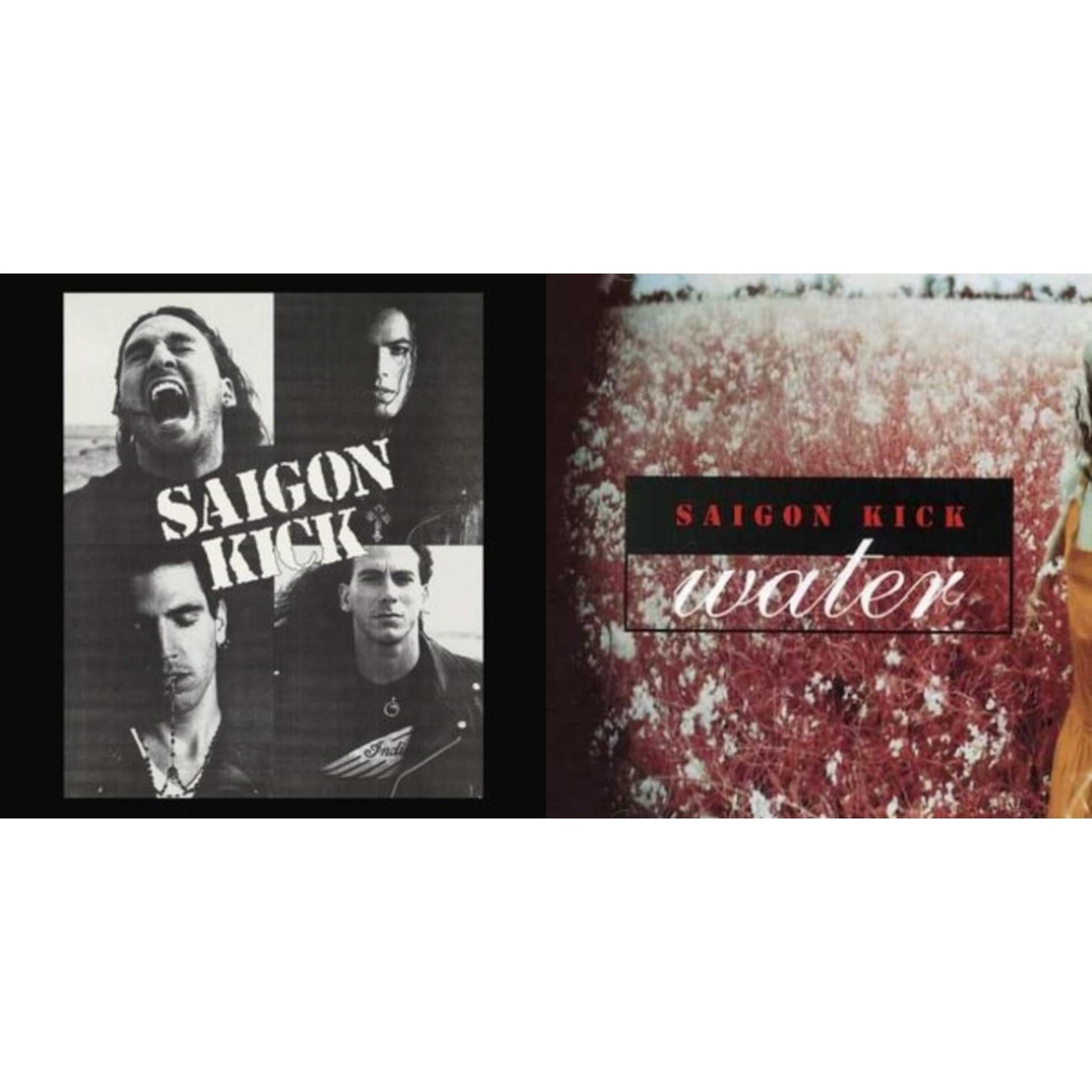 This is a 2 LP Vinyl SKU bundle.
1.This LP Vinyl is brand new.Format: LP VinylMusic Style: Alternative RockThis item's title is: WaterArtist: Saigon KickLabel: REAL GONE MUSICBarcode: 848064013525Release Date: 3/3/2023
2.This LP Vinyl is brand new.