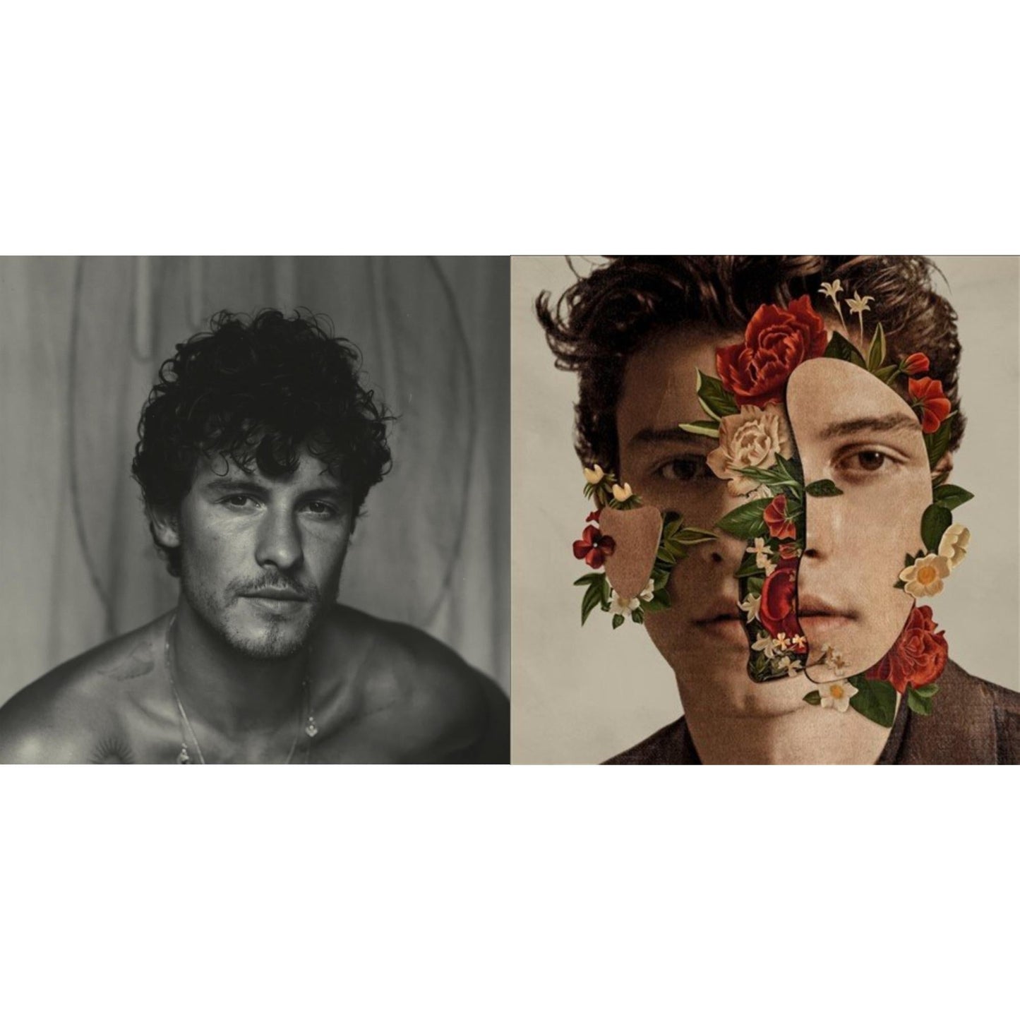 Shawn (X) (Milky Clear LP Vinyl) & Shawn Mendes