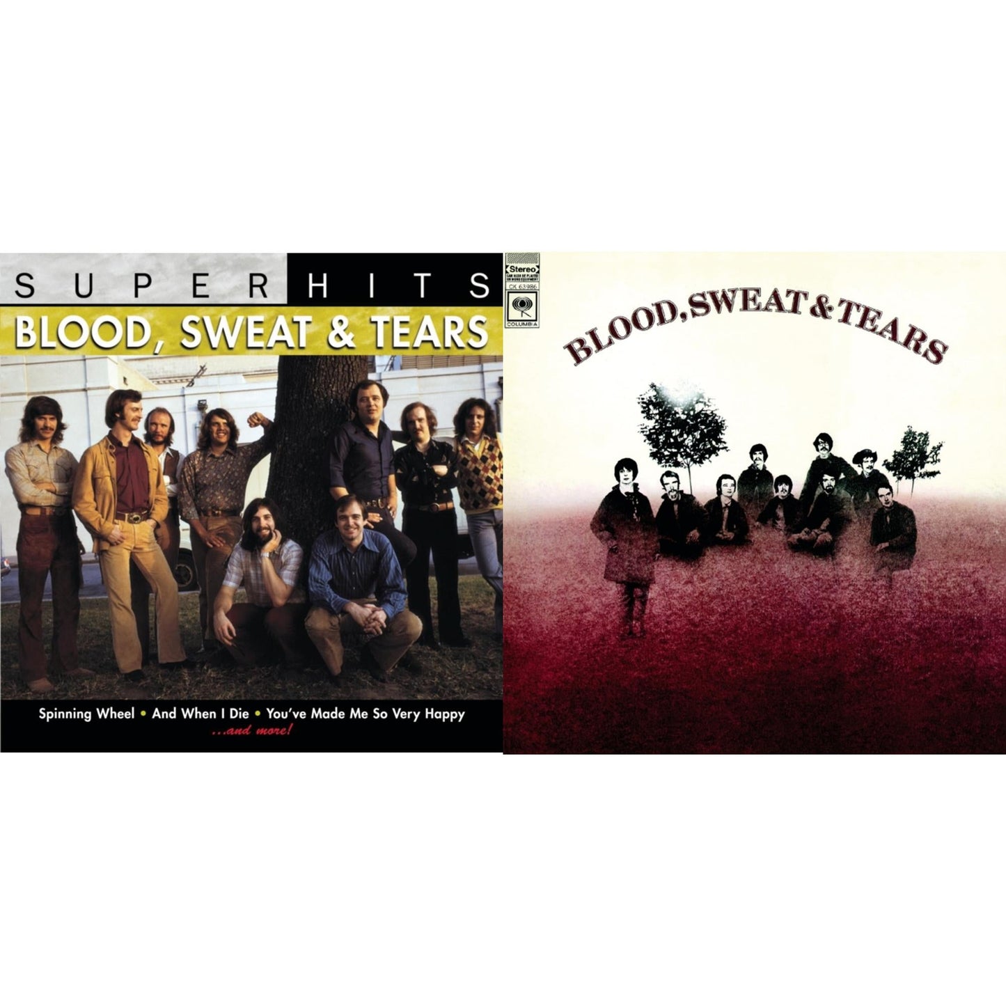 Super Hits & Blood Sweat & Tears
