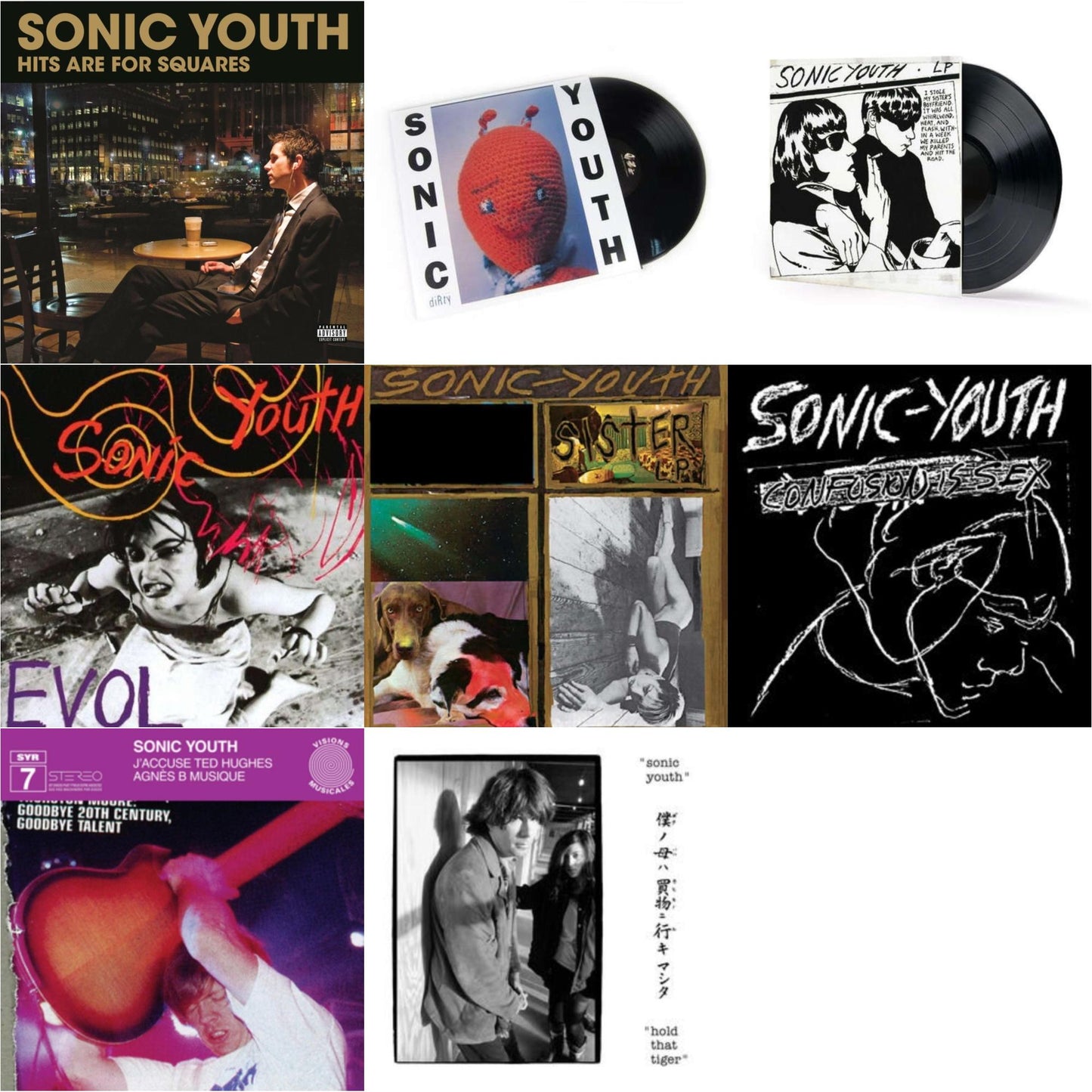 Hits Are For Squares (2LP) & Dirty & Goo & Evol & Sister & Confusion Is Sex & J’Accuse Ted Hughes & Hold That Tiger (2LP)