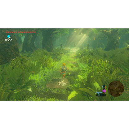 Legend of Zelda: Breath of the Wild: Switch 2 Edition - Switch 2