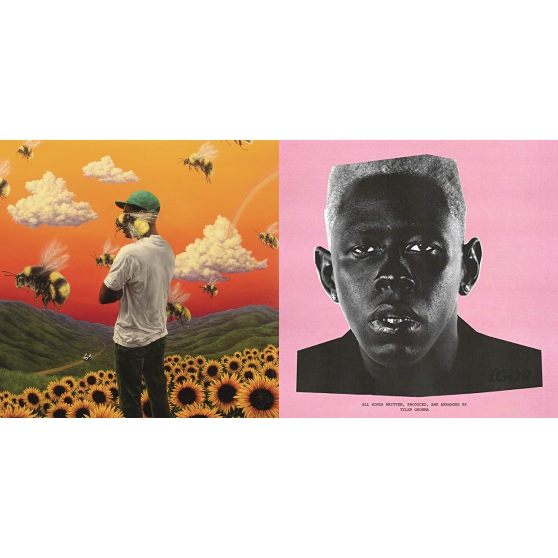 This is a 2 LP Vinyl SKU bundle.
1.This LP Vinyl is brand new.Format: LP VinylThis item's title is: Flower Boy (2LP/150G)Artist:  The Creator TylerLabel: COLUMBIABarcode: 889854690519Release Date: 12/1/2017
2.This LP Vinyl is brand new.