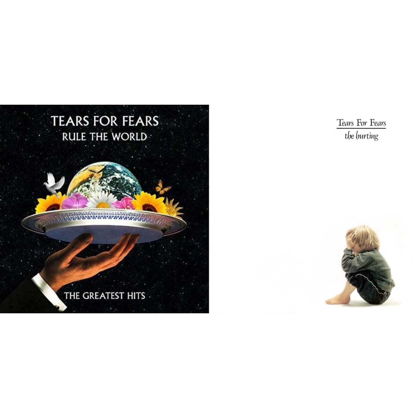 Rule The World (2LP) & Hurting