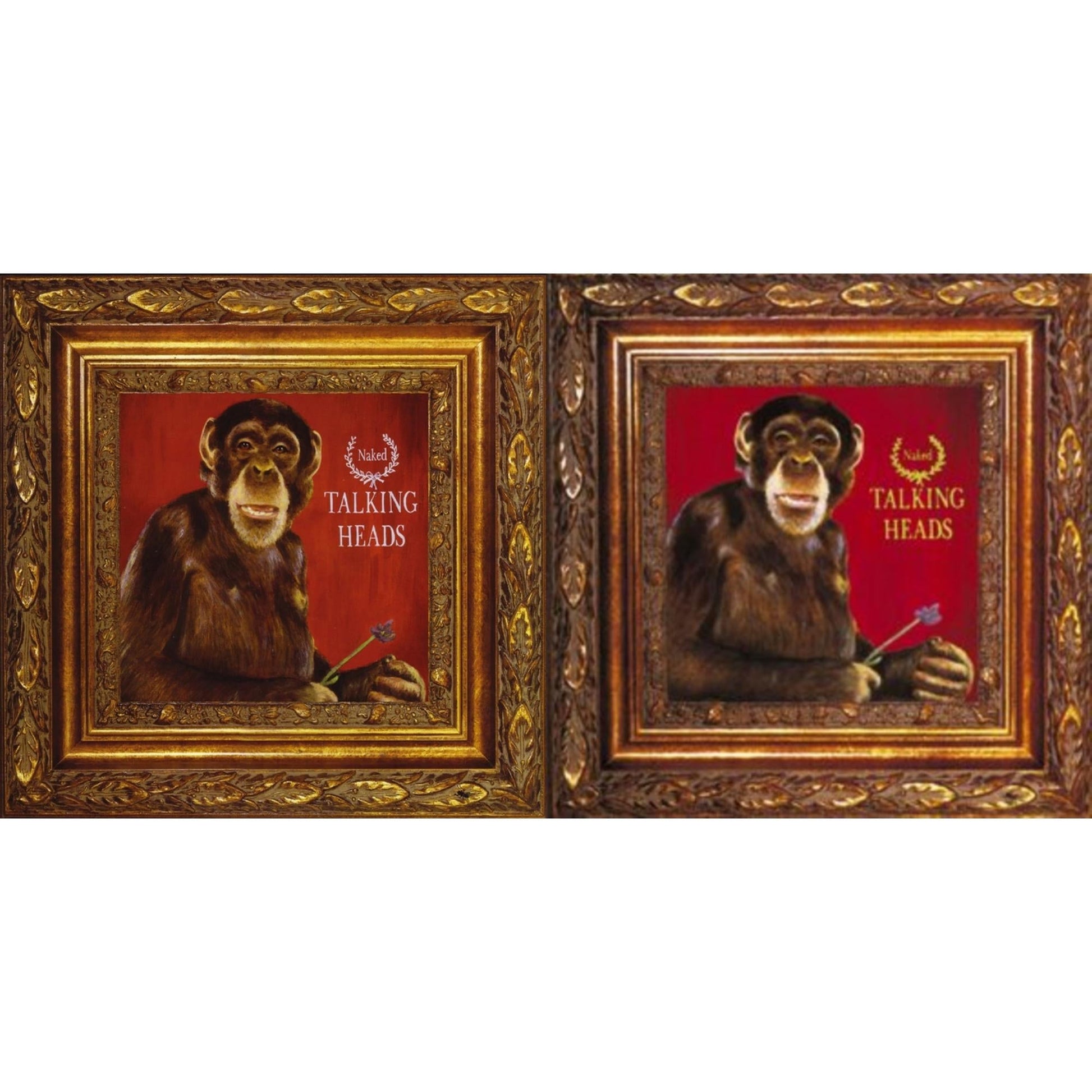 This is a 2 LP Vinyl SKU bundle.
1.This LP Vinyl is brand new.Format: LP VinylMusic Style: New WaveThis item's title is: NakedArtist: Talking HeadsLabel: RHINO/WARNER RECORDSBarcode: 603497830879Release Date: 10/27/2023
2.This LP Vinyl is brand new.