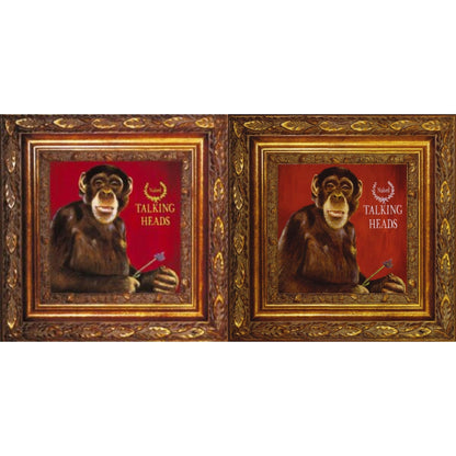 This is a 2 LP Vinyl SKU bundle.
1.This LP Vinyl is brand new.Format: LP VinylMusic Style: New WaveThis item's title is: NakedArtist: Talking HeadsLabel: RHINO/WARNER RECORDSBarcode: 603497830879Release Date: 10/27/2023
2.This LP Vinyl is brand new.
