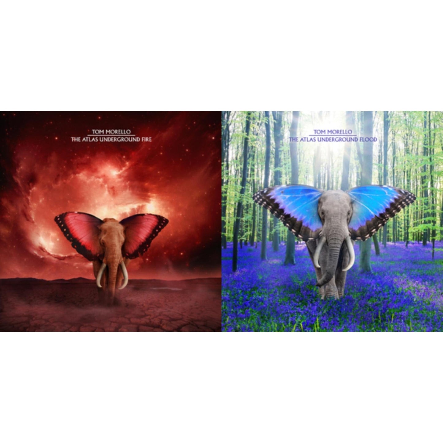 This is a 2 LP Vinyl SKU bundle.
1.This LP Vinyl is brand new.Format: LP VinylMusic Style: Alternative RockThis item's title is: Atlas Underground Fire (2LP/Orange Splatter Vinyl)Artist: Tom MorelloLabel: MOM+POPBarcode: 810090090023Release Date: 4/1/2022
2.