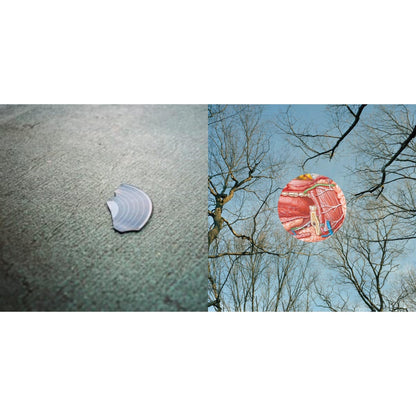 Book & Glean (Clear W/ Red Whisps LP Vinyl)