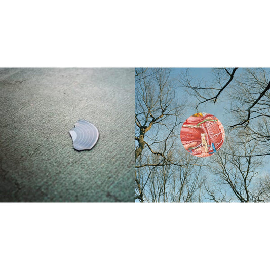 Book & Glean (Clear W/ Red Whisps LP Vinyl)