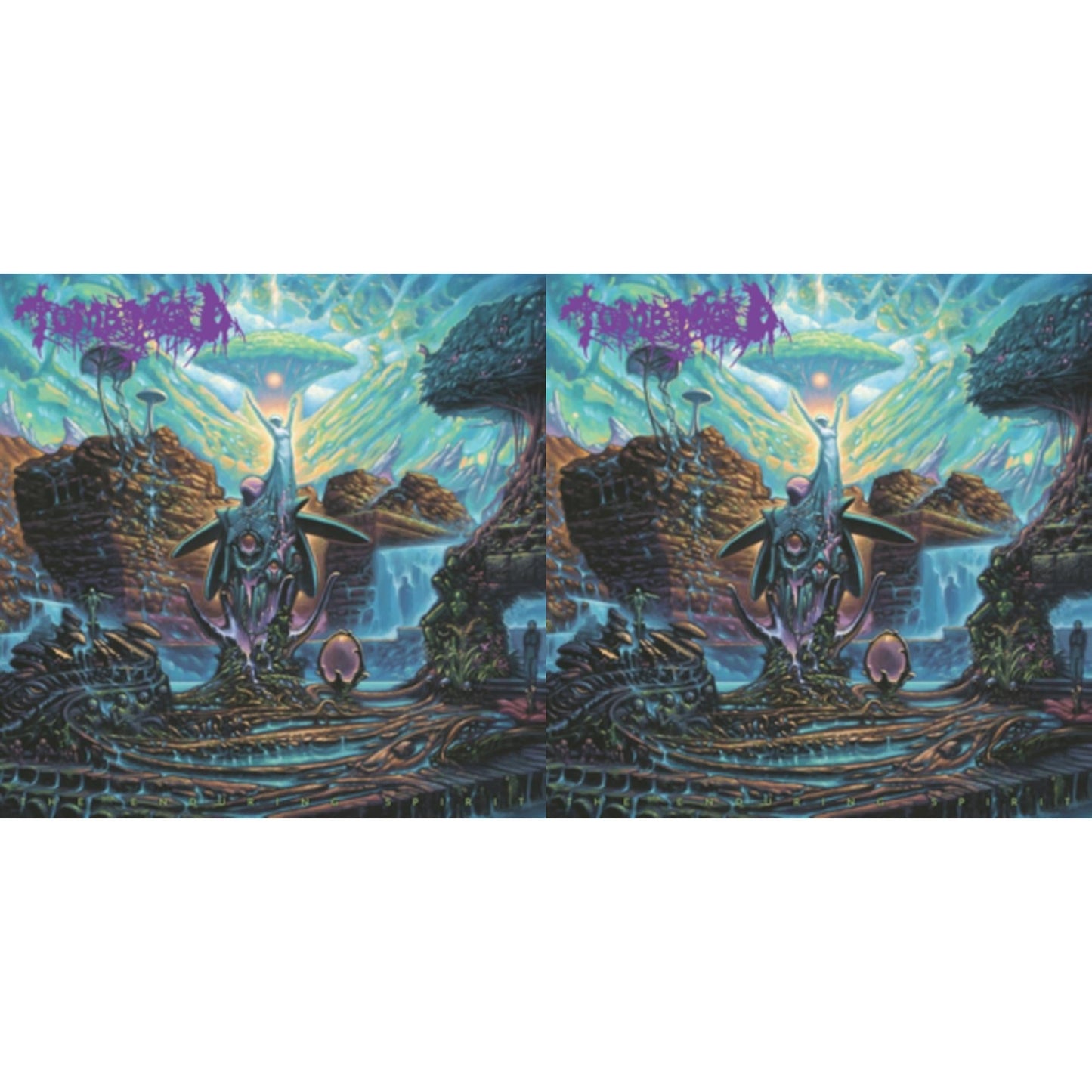 This is a 2 LP Vinyl SKU bundle.
1.This LP Vinyl is brand new.Format: LP VinylMusic Style: Death MetalThis item's title is: Enduring Spirit (Color LP Vinyl)Artist: Tomb MoldLabel: 20 BUCK SPINBarcode: 810079501205Release Date: 10/13/2023
2.This LP Vinyl is brand new.