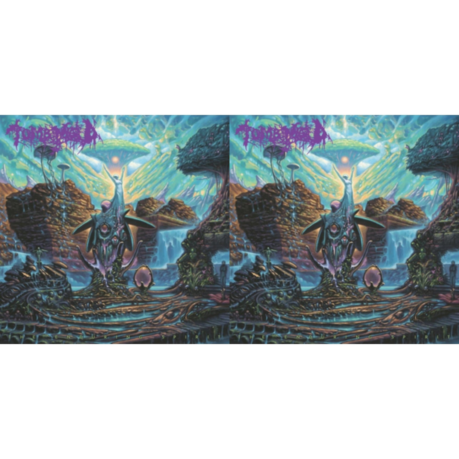 This is a 2 LP Vinyl SKU bundle.
1.This LP Vinyl is brand new.Format: LP VinylMusic Style: Death MetalThis item's title is: Enduring Spirit (Color LP Vinyl)Artist: Tomb MoldLabel: 20 BUCK SPINBarcode: 810079501205Release Date: 10/13/2023
2.This LP Vinyl is brand new.