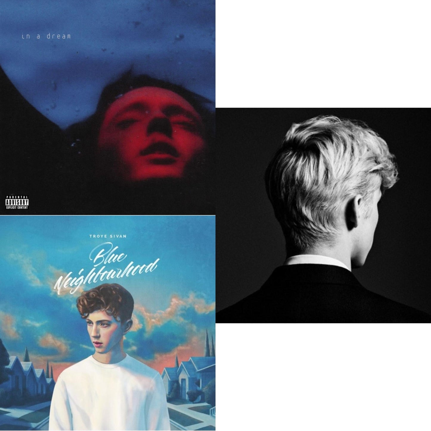 In A Dream (Ep) (Light & Dark Blue Splatter LP Vinyl/180G) & Blue Neighbourhood & Bloom
